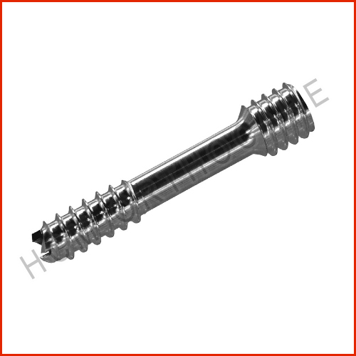 herbert-sscrew - HCM Ortho Locking Screws