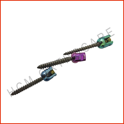 asdcasd - HCM Ortho Single lock Pedicle Screw Manufacturer
