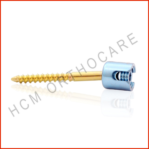 21.2 - HCM Ortho Posterior Cervical Screw