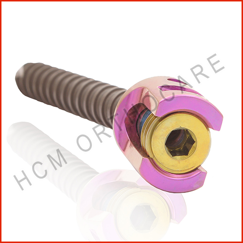 06.2 - HCM Ortho Single lock Pedicle Screw