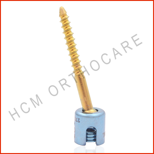 21.3 - HCM Ortho Cervical Cage with Plate
