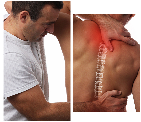 Welcome - HCM Ortho Welcome to Orthopedic Implants Manufacturer