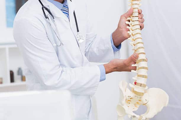 Doctor holding anatomical spine in medical office - HCM Ortho Doctor holding anatomical spine in medical office